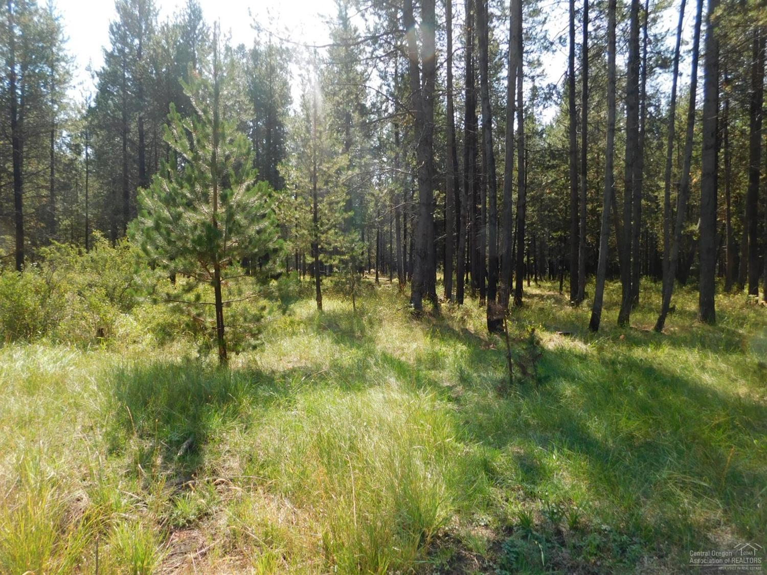 16963 Fontana Road Bend, OR 97707 - Photo 9 of 25 Gallery Image 9