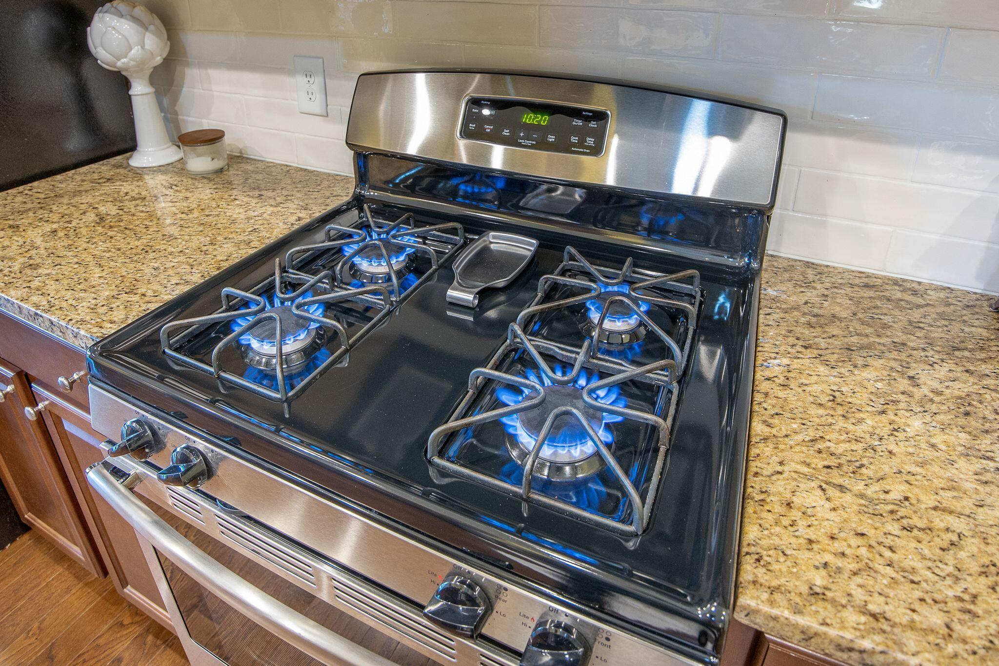 239 Overcup Loop Summerville, SC 29486 - Photo 13 of 63 Gas Range