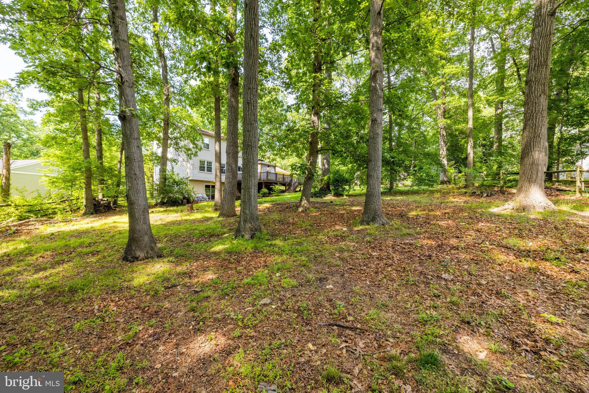 1816 Post Oak Trail Reston, VA 20191 - Photo 51 of 58 Check out this yard!