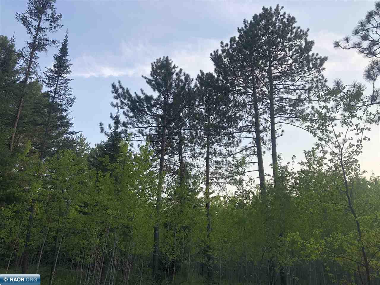 11005-tbd Town Line Road Hibbing, MN 55746 - Photo 5 of 7
