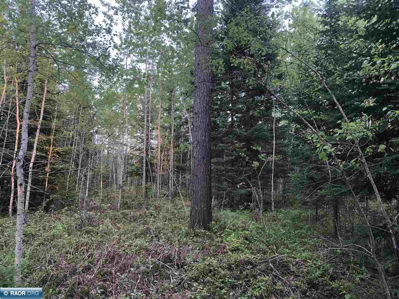 11005-tbd Town Line Road Hibbing, MN 55746 - Photo 6 of 7