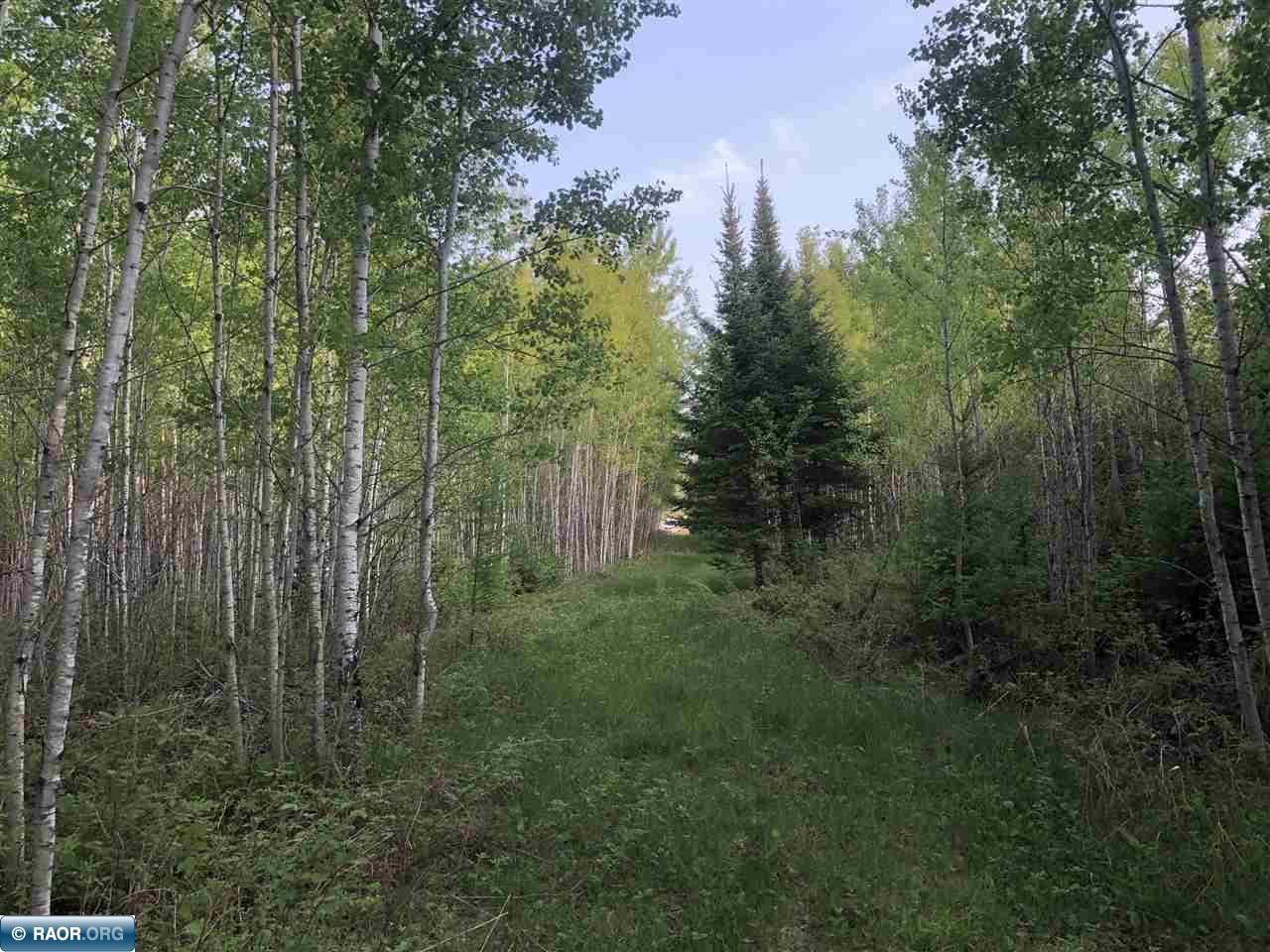 11005-tbd Town Line Road Hibbing, MN 55746 - Photo 7 of 7