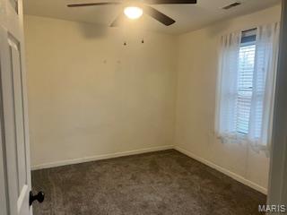 227 North Douglas Street Hillsboro, IL 62049 - Photo 25 of 30