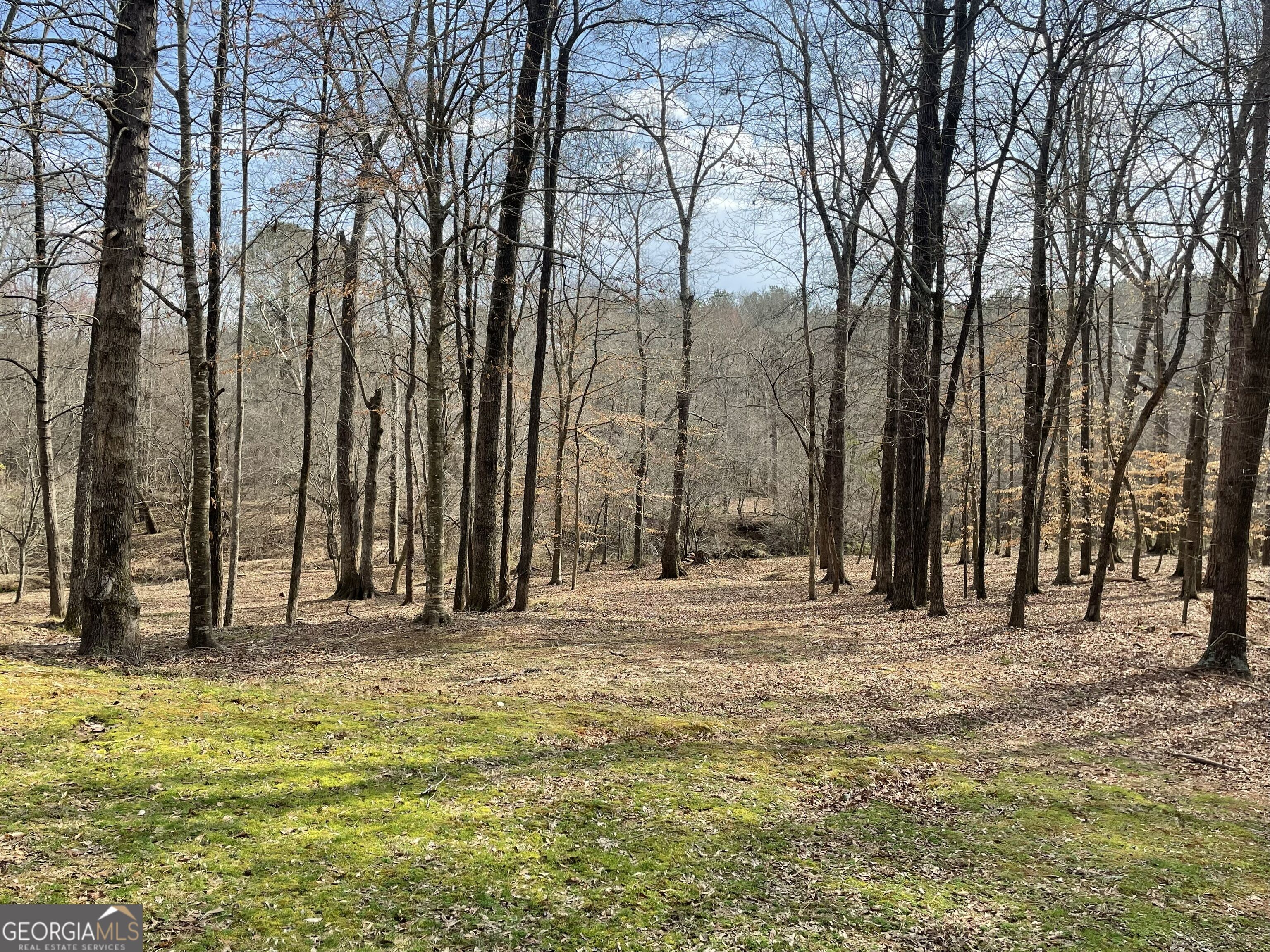 1171 River Run Bishop, GA 30621 - Photo 15 of 66 Gallery Image 15