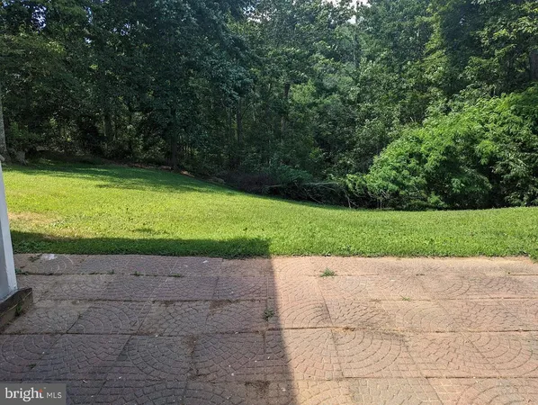 a view of a park with large trees