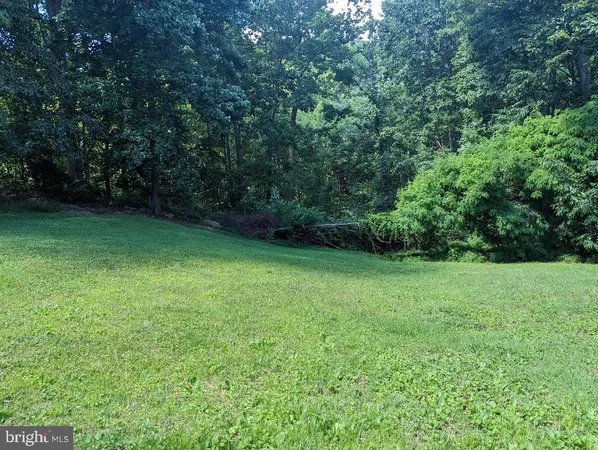 a view of a green yard
