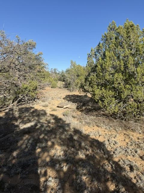 Lot 6 Gate Road Ramah, NM 87357 - Photo 6 of 17 Gallery Image 6