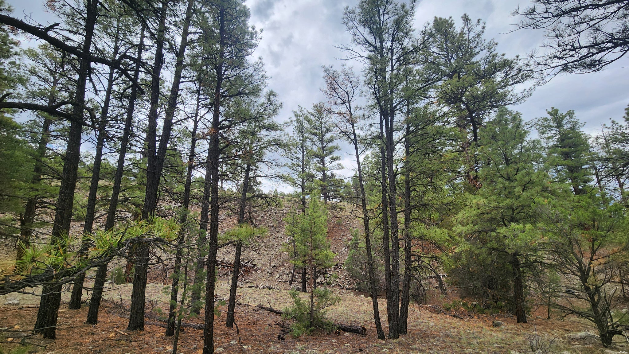 56 El Caso Road, Unit B3S Quemado, NM 87829 - Photo 11 of 26 Gallery Image 11