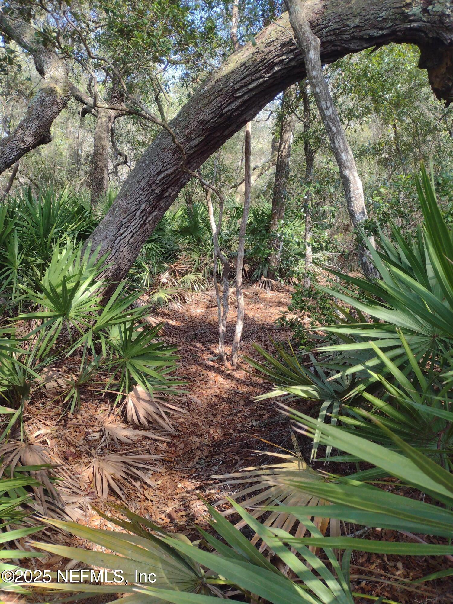 93 Tucker Lake Road Melrose, FL 32666 - Photo 2 of 4 93Tuckerwindingtrail