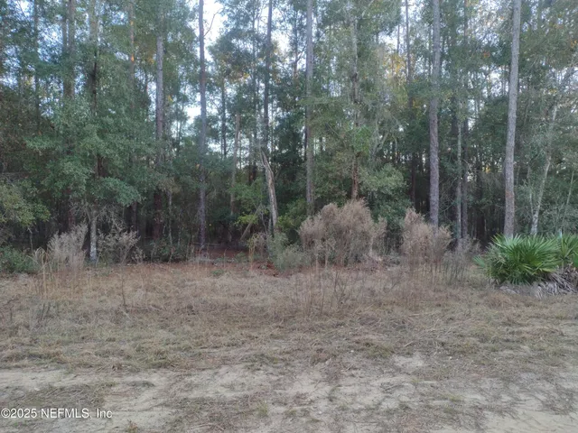 $65,000 | 93 Tucker Lake Road, Melrose, FL 32666