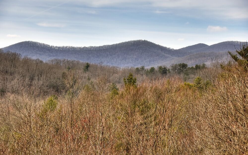 440 Bushy Head Road Cherry Log, GA 30522 - Photo 1 of 1 Main View