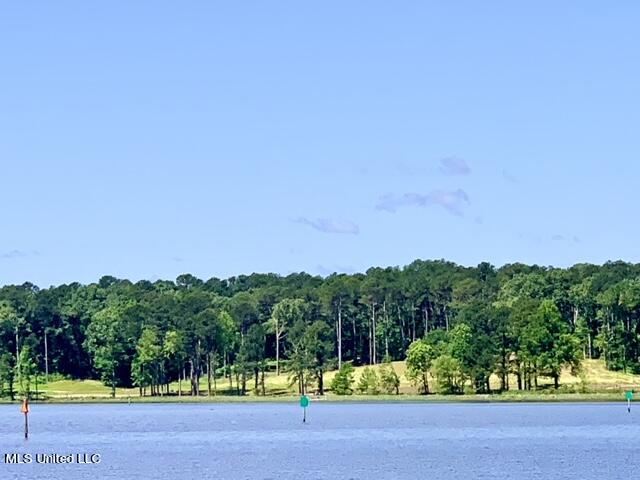 Lot 23 Neptune Shore Canton, MS 39046 - Photo 19 of 20 IMG_4499