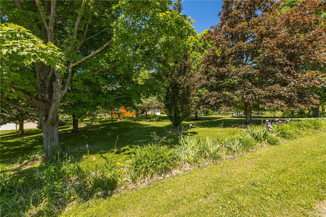 5947 Harter Road Dansville, NY 14437 - Photo 33 of 50