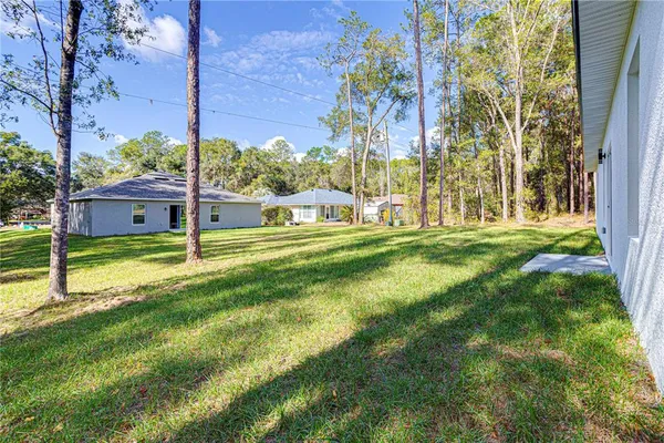 a view of a park with large trees