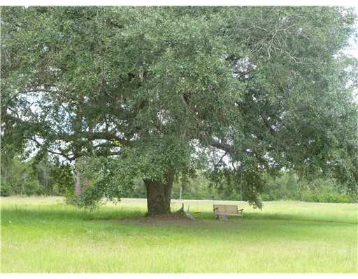 19951 Larry Carter Road Moss Point, MS 39562 - Photo 16 of 16 Additional Photo