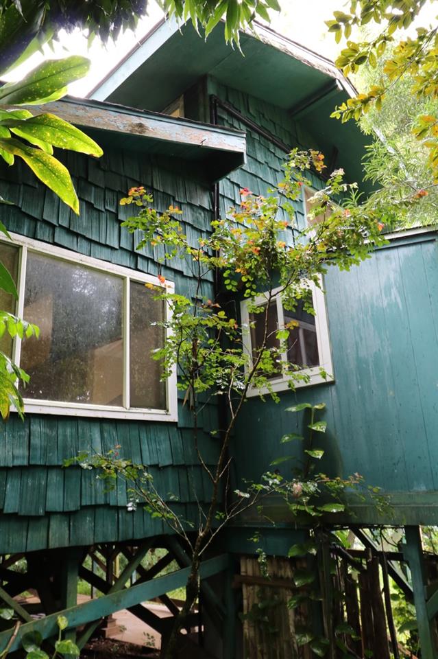 475 B Kulike Road Haiku, HI 96708 - Photo 8 of 17 a view of a house with a yard