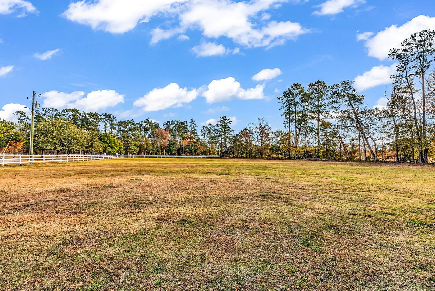 4337 State Highway 65 Conway, SC 29526 - Photo 63 of 71