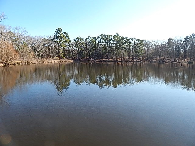 2000 McFarland Road Raymond, MS 39154 - Photo 13 of 49 Photo 13