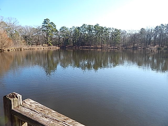 2000 McFarland Road Raymond, MS 39154 - Photo 14 of 49 Photo 14
