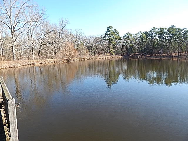 2000 McFarland Road Raymond, MS 39154 - Photo 15 of 49 Photo 15