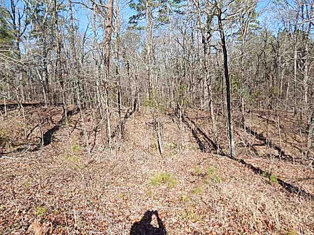 2000 McFarland Road Raymond, MS 39154 - Photo 20 of 49 Photo 20