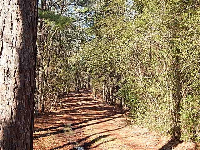2000 McFarland Road Raymond, MS 39154 - Photo 2 of 49 Photo 2