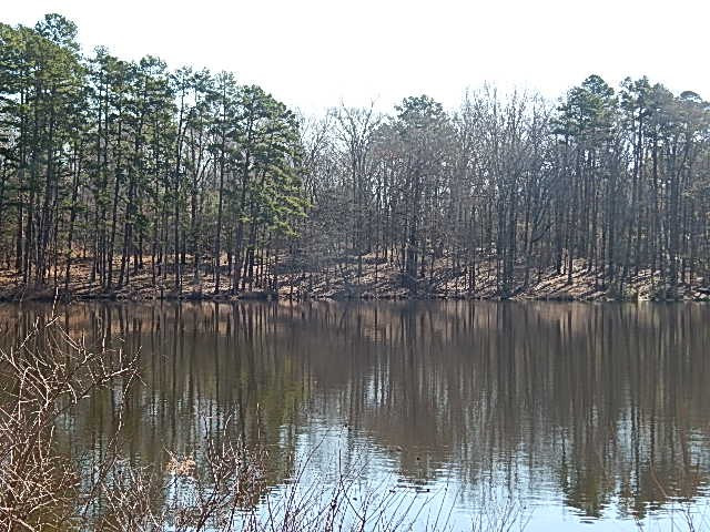 2000 McFarland Road Raymond, MS 39154 - Photo 22 of 49 Photo 22