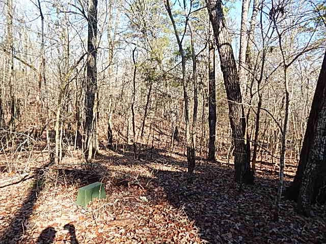 2000 McFarland Road Raymond, MS 39154 - Photo 3 of 49 Photo 3
