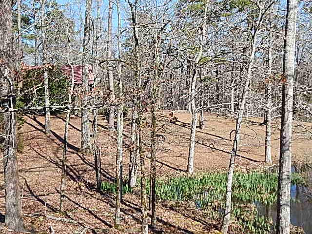 2000 McFarland Road Raymond, MS 39154 - Photo 44 of 49 Photo 45
