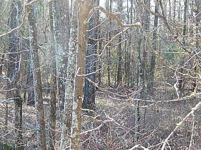 2000 McFarland Road Raymond, MS 39154 - Photo 45 of 49 Photo 46
