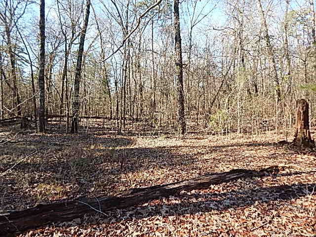 2000 McFarland Road Raymond, MS 39154 - Photo 47 of 49 Photo 48