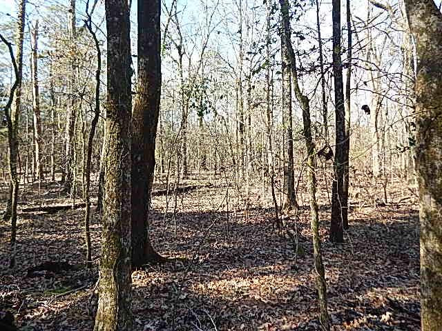 2000 McFarland Road Raymond, MS 39154 - Photo 48 of 49 Photo 49