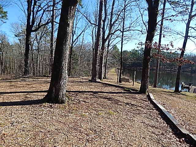2000 McFarland Road Raymond, MS 39154 - Photo 6 of 49 Photo 6