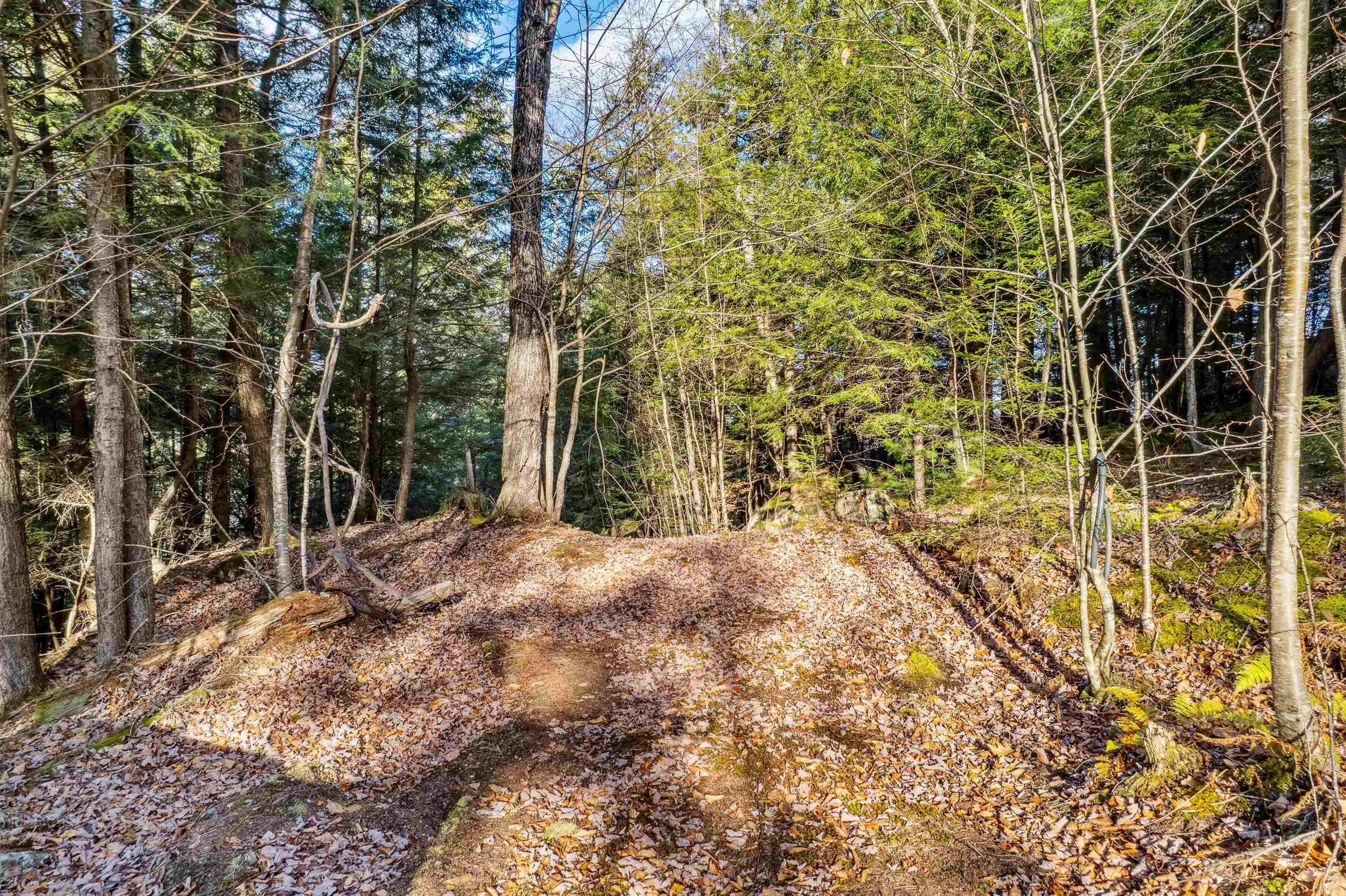 664 Spencer Hollow Road Springfield, VT 05156 - Photo 21 of 25