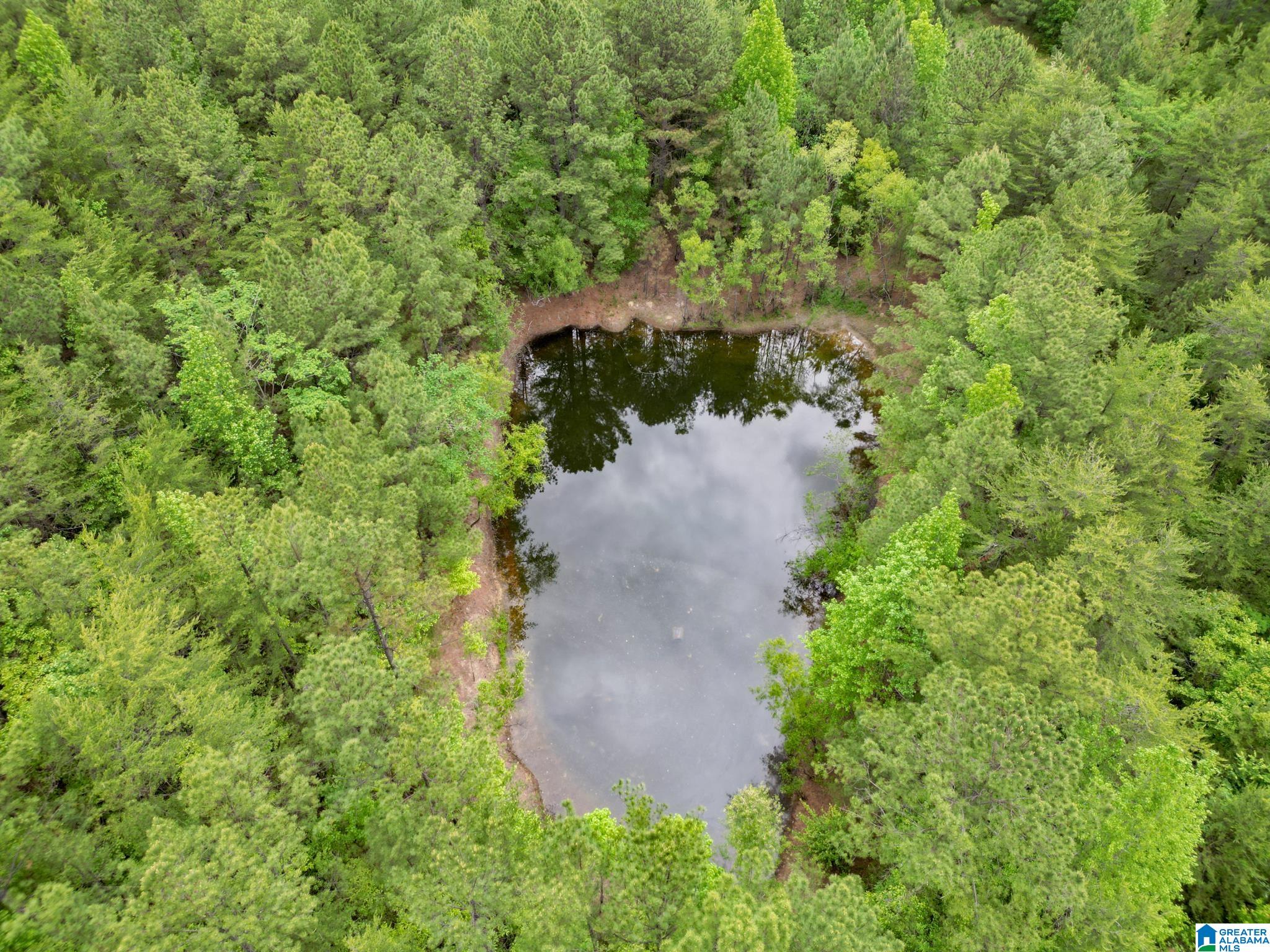 12680 Groundhog Road, Unit 1 Adger, AL 35006 - Photo 6 of 28