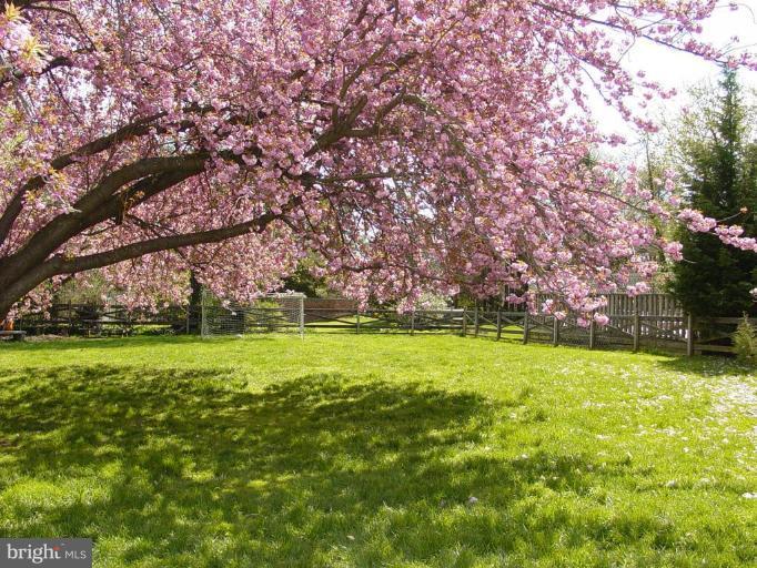 6305 Pinehurst Road Baltimore, MD 21212 - Photo 22 of 23 What a perfect yard.