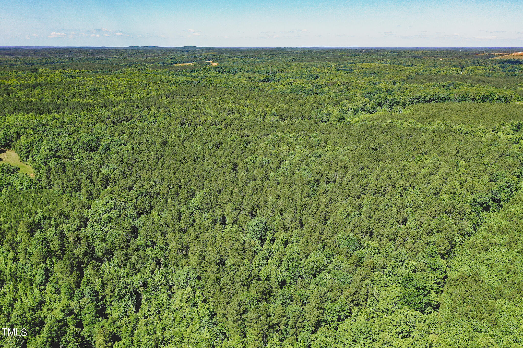 111-acres Hobgood Road Rougemont, NC 27572 - Photo 38 of 65 38