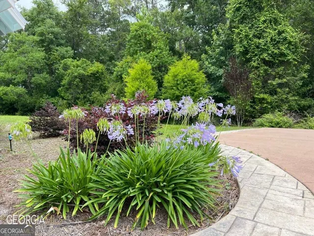 $2,800 | 67 Stoney Brook Lane, Woodbine, GA 31569