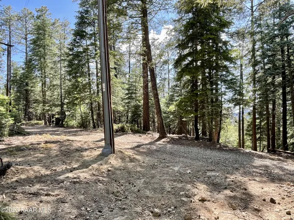 a view of a yard with trees