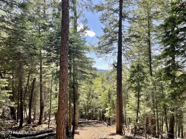 a view of outdoor space with trees