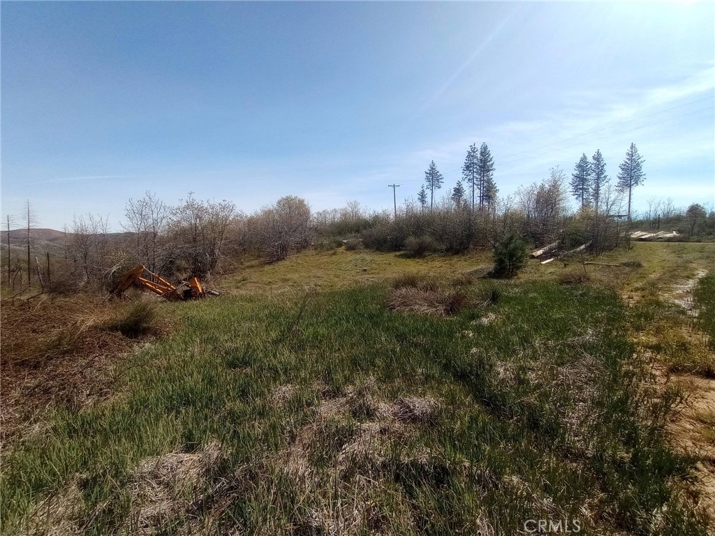 3515 Hoffman Road Oroville, CA 95965 - Photo 6 of 30