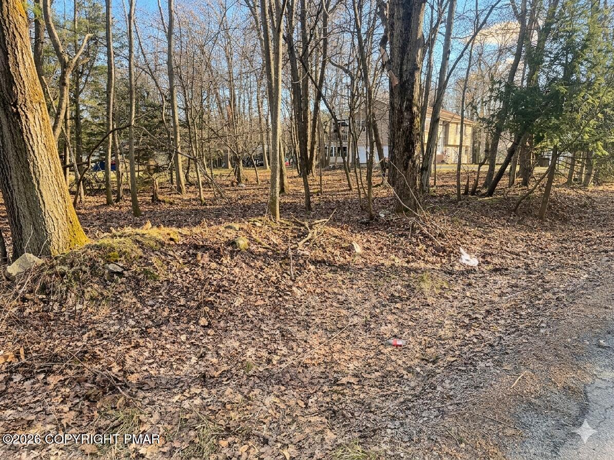 317 Drive Pocono Summit Pocono Summit, PA 18346 - Photo 2 of 2 Gemini_Generated_Image_xk0o0sxk0o0sxk0o