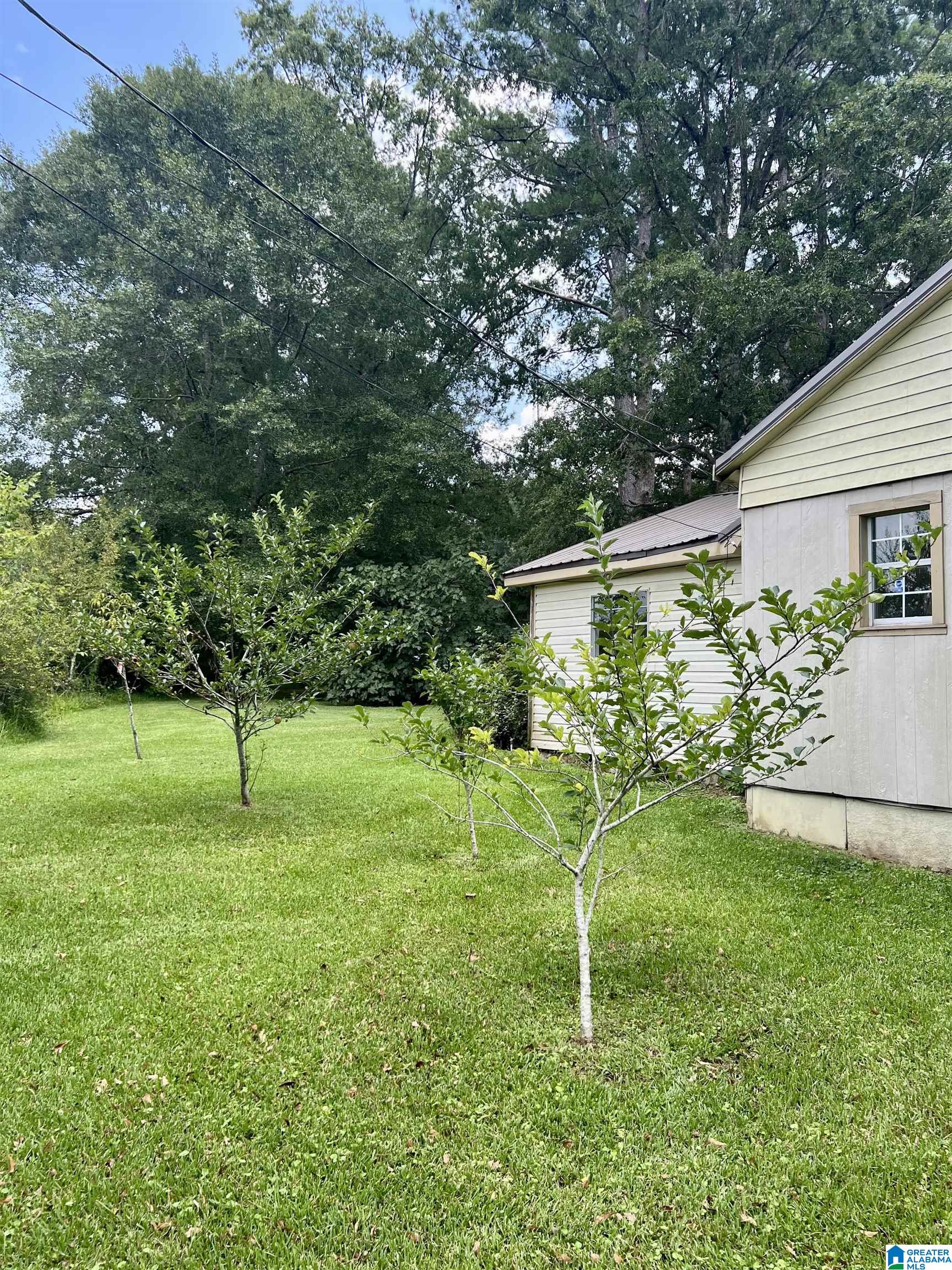 7650 Chelsea Road Columbiana, AL 35051 - Photo 10 of 47