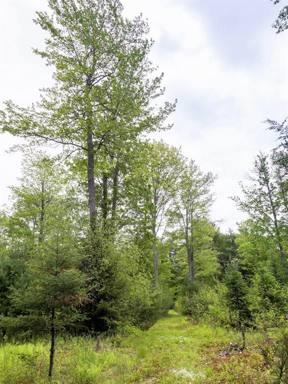 239 Tuttle Road Cumberland Center, ME 04021 - Photo 20 of 28 Photo