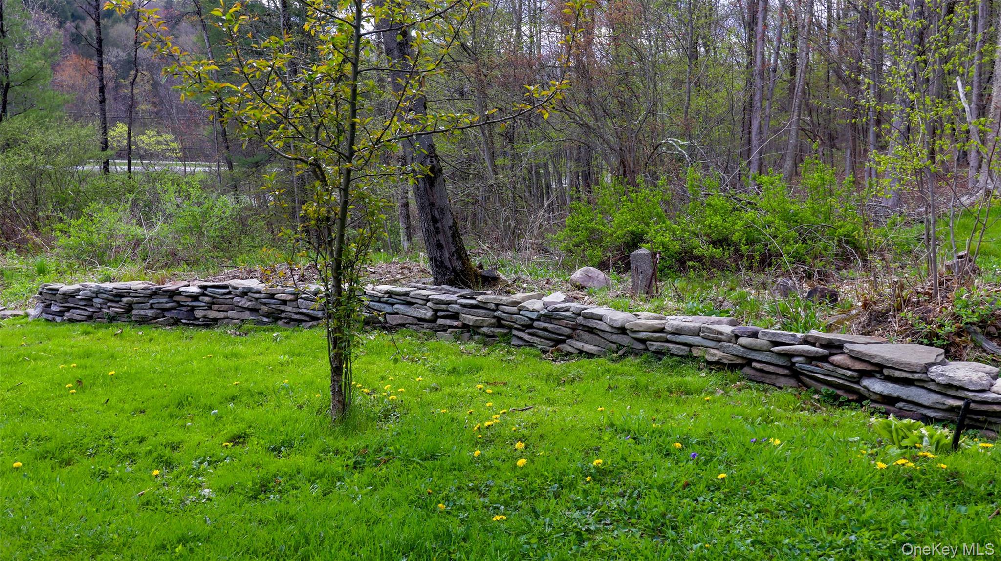 11 Hood Road Roscoe, NY 12776 - Photo 29 of 31 Manicured lawn with a young tree and a natural stone retaining wall, bordering a wooded area