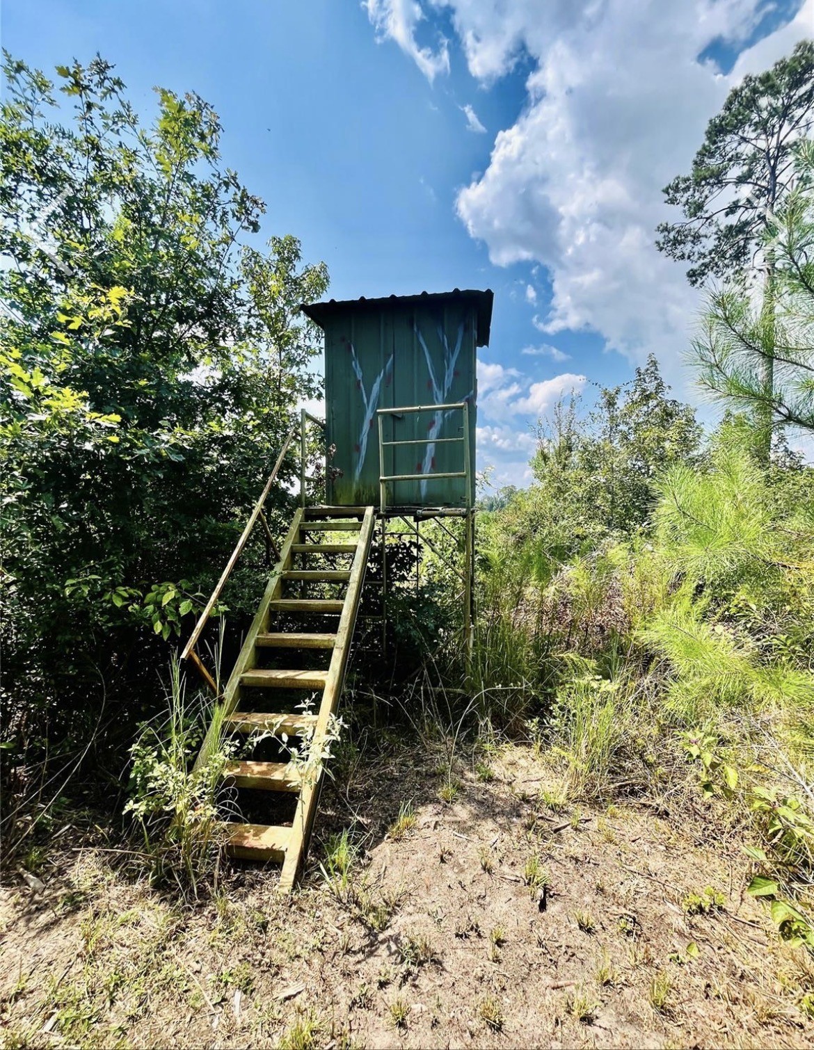 9 Nine Nine Bridges Road Corrigan, TX 75939 - Photo 1 of 10 Gallery Image 1