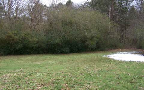 41 Ridge Street Blue Ridge, GA 30513 - Photo 1 of 1 Main View