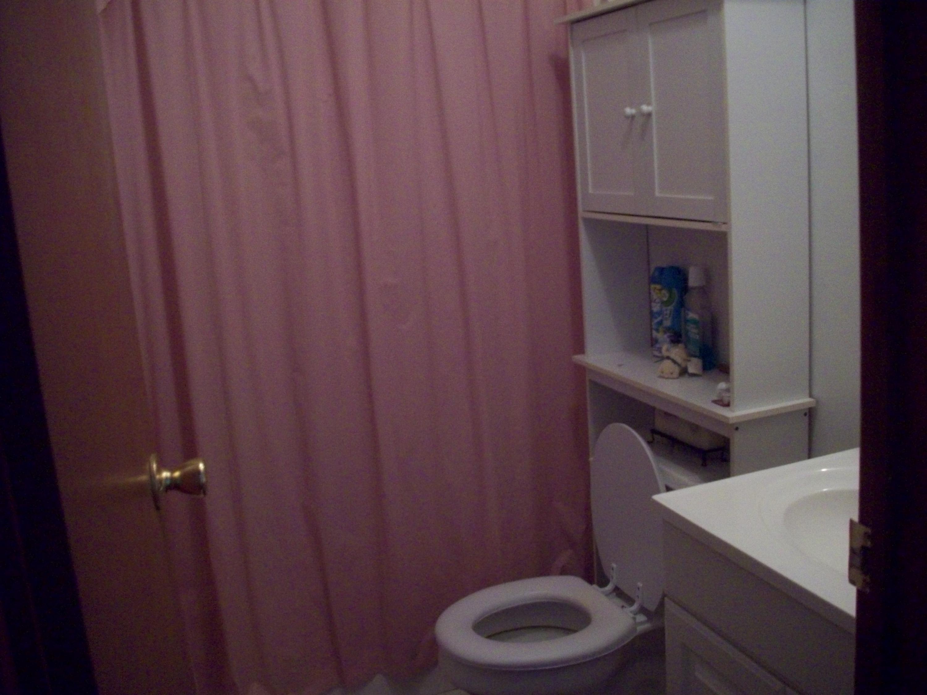 205 Board Mountain Road Goodview, VA 24095 - Photo 13 of 17 a bathroom with a sink a toilet and mirror