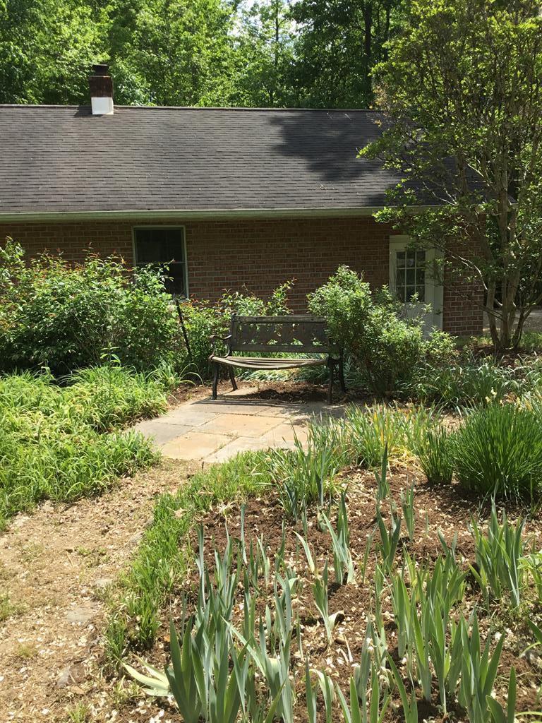 2501 Whitehead Road Keysville, VA 23947 - Photo 46 of 82 Gallery Image 46