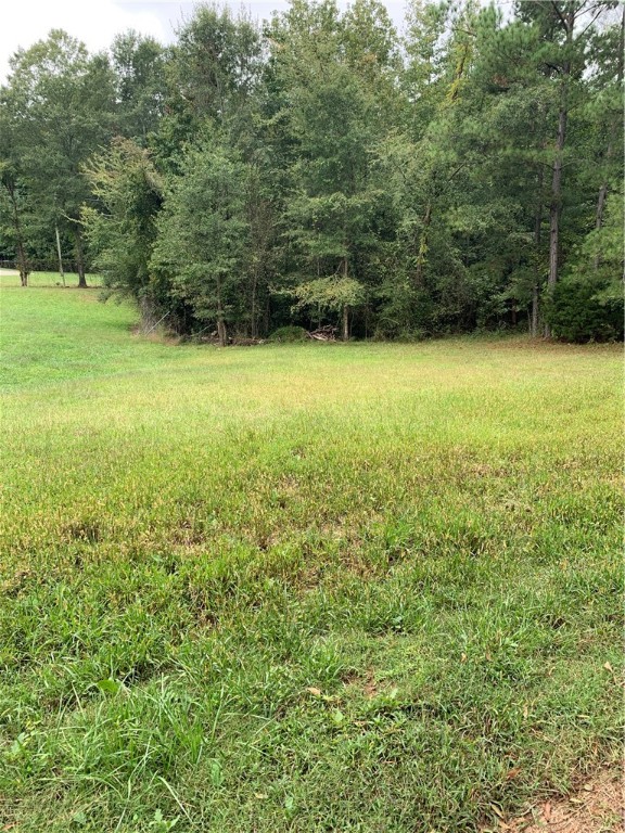 0 Belmina Street Pendleton, SC 29670 - Photo 2 of 7